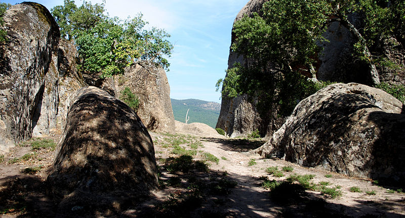 Parc Naturel National d’El Feidja