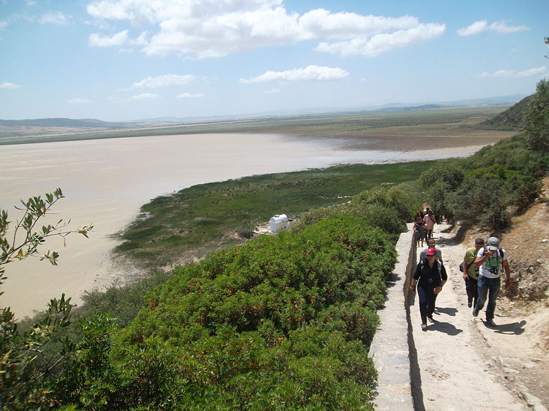 Trekking au parc national d'Ichkeul