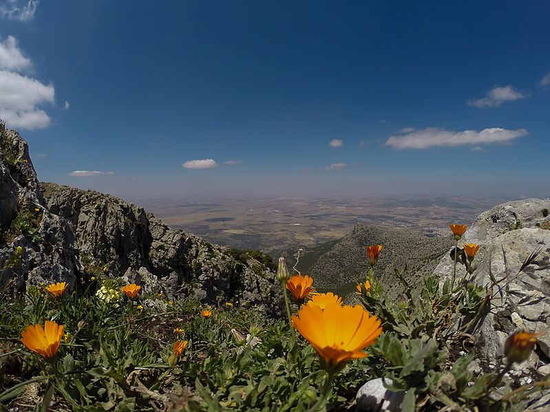 Vue du Parc national de Jebel Zaghouan