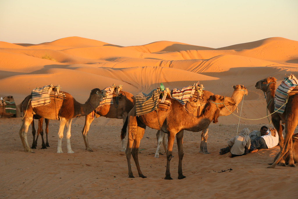 randonnées et excursions sud tunisien