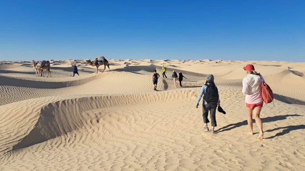 desert